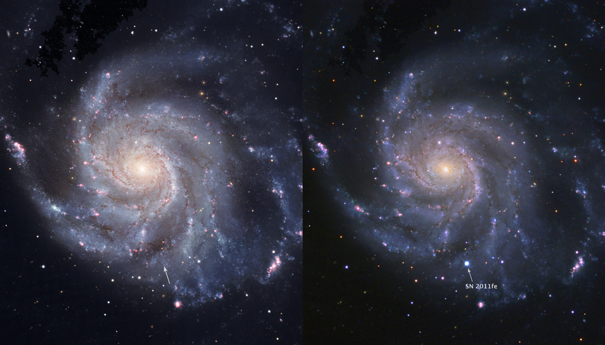Cosmic Autopsy Reveals Youngest Supernova's Origins